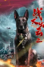 war-dog-attack-2-2025